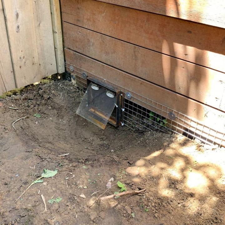 Skunk Removal Services Hamilton
